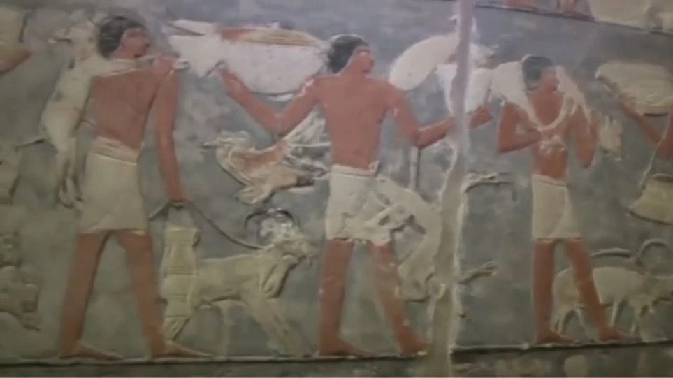 Στο φως το εσωτερικό φαραωνικού τάφου για πρώτη φορά έπειτα από 4.000 χρόνια! (βίντεο)